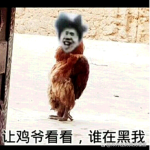 只因窝