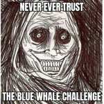 Never trust BLUE WHALE
