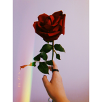 *dxstyroses*