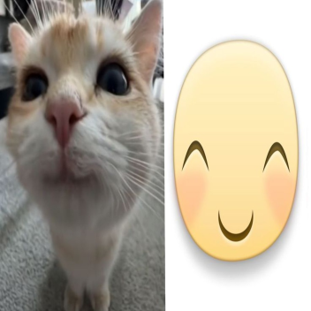 ≽^•⩊•^≼