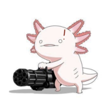 the Axolotl_boi fan club