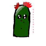 Cactus Flower Club