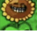 Joxxed
