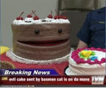 Crazy Cakez