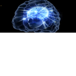 The Big Brain Bros.