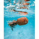 The pineapple twins