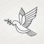 ~- Colombe dans le ciel academy - US - UK - FR -~