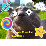 The LOL Catz :3