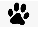 Riley and the girlies