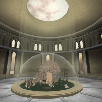 the mushroom garden // showcase
