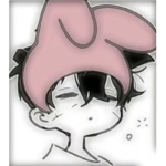 stupid bunny boy 分