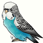 Bird Clothing TM