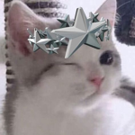 liz's starz