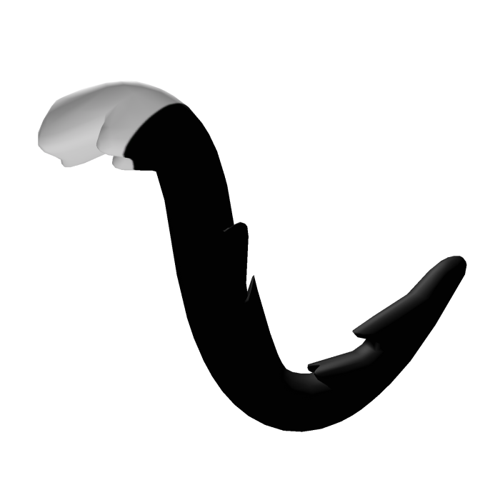 Black and White Cat Tail