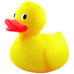 TEAM DUCKS RULE