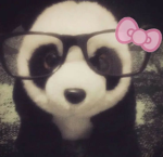 Panda Wanda abc army