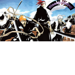 Bleach-Rise