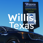 Willis Development Group