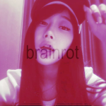 shamnyc