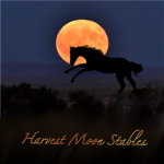 Harvest Moon Riding Academy