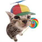 THE SILLY CAT GOOBERS