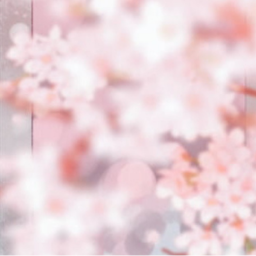 🌸