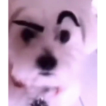 janluuu7