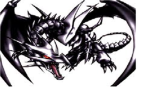 Elite Dark Dragon Inforcers