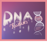 DNAStudios