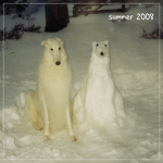 summer, 2008