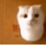TheMaskCult