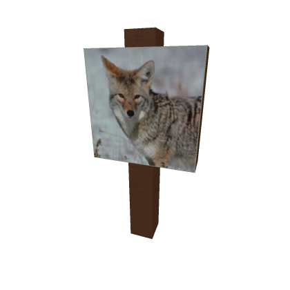 Beware Of Coyotes Sign