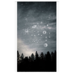 •-Moonlight-•
