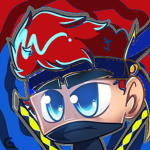 Ninja, Ninja's