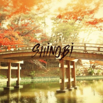アニメ Shinobi アニメ