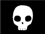 The Blackhawk Pirates