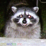 prowizka inc.