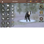 Lucky wildcraft