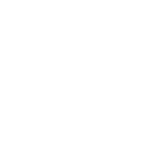 Cars, Cars, Cars!