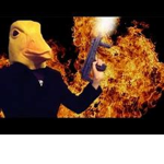 cult of duck