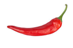 red pepper studio