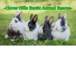 -Clover Hills Exotic Animal Rescue Grass Plains-