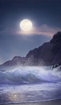Moonlit Dreams