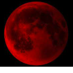 RedMoonStudio