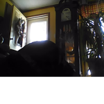 The Pup Dogs hang out