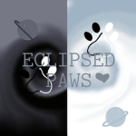 Eclipsed Paws