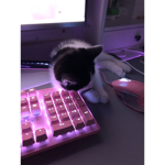 Ugly_potato