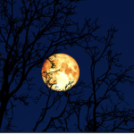 Party on the moon.