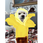 Bannana dog TEAM