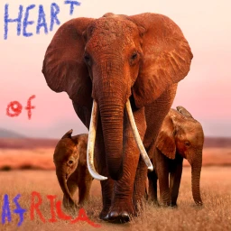 Heart of Africa (ANIMAL QUIZ ADDED!) icon